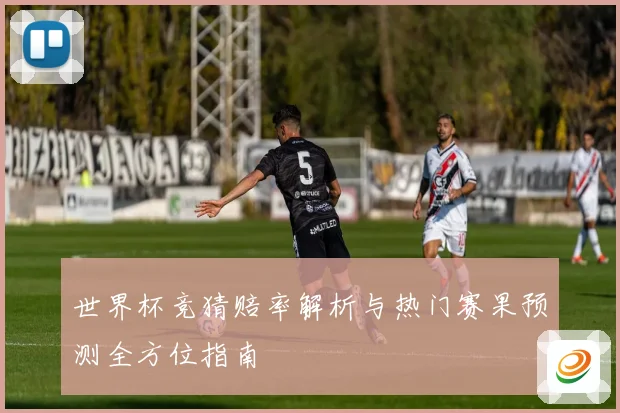 世界杯竞猜赔率解析与热门赛果预测全方位指南