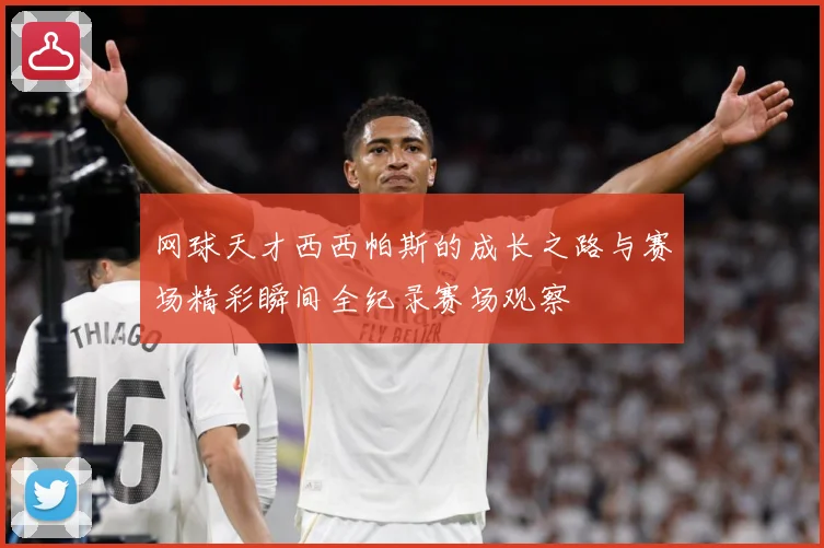 网球天才西西帕斯的成长之路与赛场精彩瞬间全纪录赛场观察