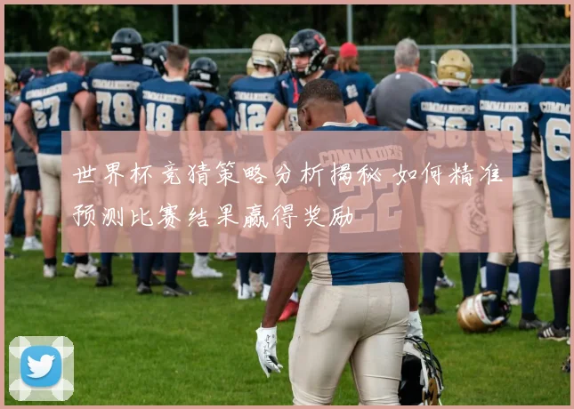 世界杯竞猜策略分析揭秘 如何精准预测比赛结果赢得奖励