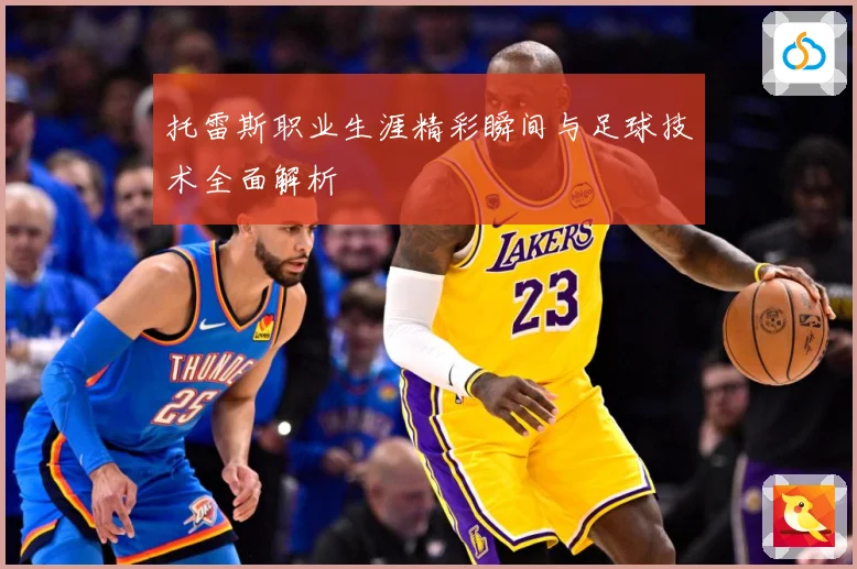 托雷斯职业生涯精彩瞬间与足球技术全面解析