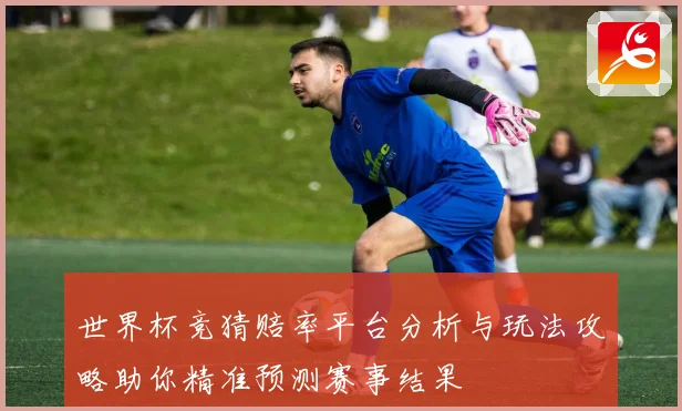 世界杯竞猜赔率平台分析与玩法攻略助你精准预测赛事结果