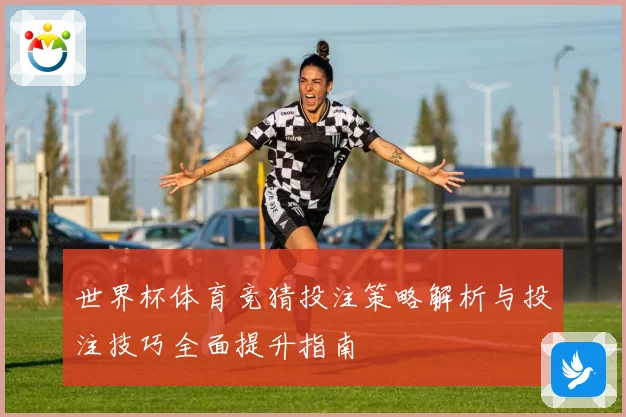 世界杯体育竞猜投注策略解析与投注技巧全面提升指南