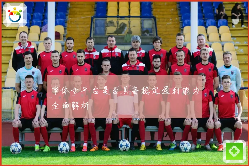 华体会平台是否具备稳定盈利能力全面解析